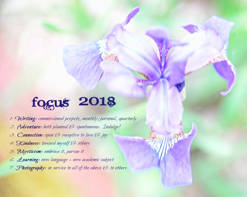 FOCUS 2018